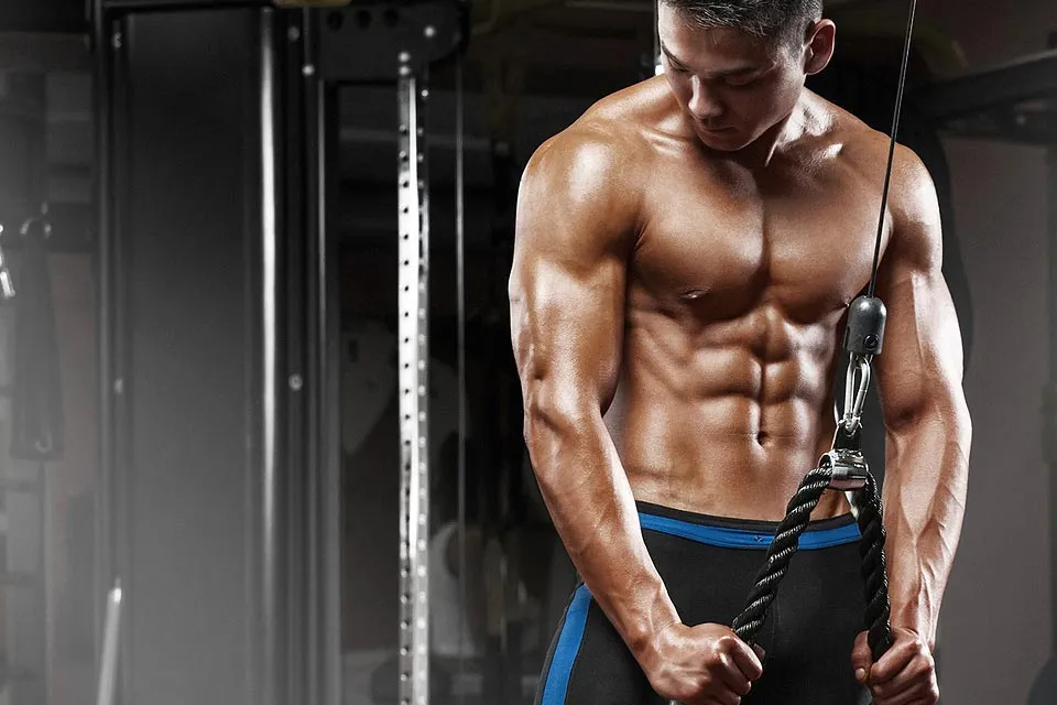 Can you build muscle while cutting on steroids